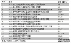 新华财经|财政部提前下达多项中央转移支付  部分资金将通过直达机制下达