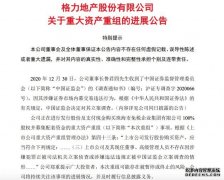 格力地产：因董事长被立案调查 购买珠海免税企业集团100%股权或存风险