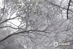 元旦假期全国雨雪稀少气温反弹 局地累计升温达10℃