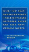 学习网评：推动政法工作高质量发展