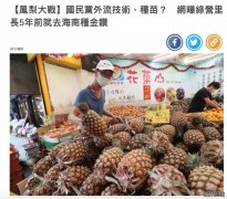 大陆“封杀”台湾凤梨 台湾岛内开始抓“内鬼”