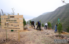 世界地球日：全国网友用手机种出“保护黄河幸福林”