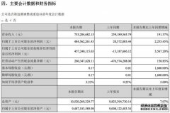 光线传媒上半年净利增长22倍 电影业务营收占比超八成