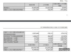 苏宁易购上半年营收936.06亿元 零售云加盟店新开1381家